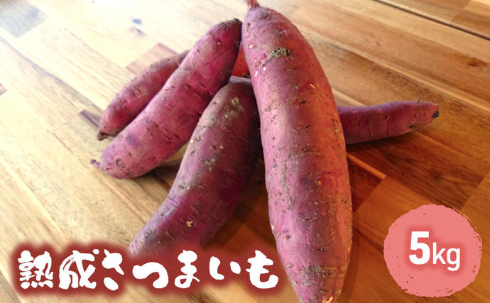 兵庫県小野市のふるさと納税 訳あり 熟成 さつまいも 5kgセット[ 不揃い 野菜 ] 食材 国産 国産野菜 紅はるか ふくむらさき 紅あずま 熟成さつまいも