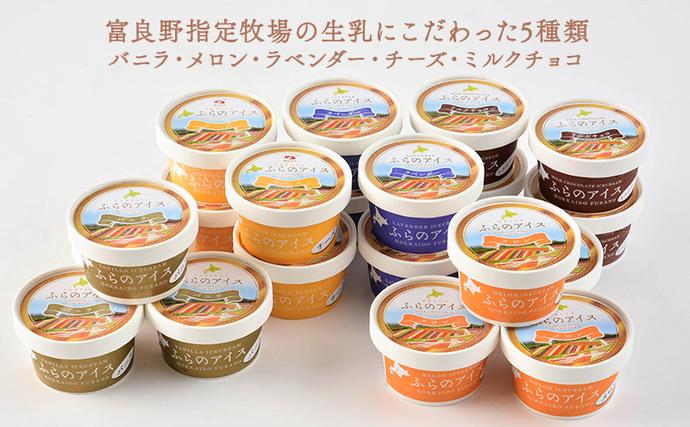 北海道富良野市のふるさと納税 北海道富良野市 ふらの アイスクリーム 20個 5種×4個 (ディームファクトリー) アイス デザート 北海道 富良野市 道産 直送 ふらの 贈り物 ギフト