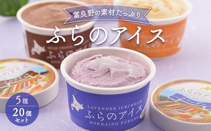 北海道富良野市のふるさと納税 北海道富良野市 ふらの アイスクリーム 20個 5種×4個 (ディームファクトリー) アイス デザート 北海道 富良野市 道産 直送 ふらの 贈り物 ギフト