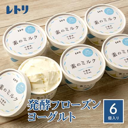 北海道中標津町のふるさと納税 【無添加】北海道 フローズンヨーグルト×6個【11038】