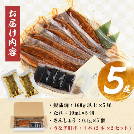 鹿児島県志布志市のふるさと納税 【志布志市制20周年記念】【数量限定】国産 八本木樽鰻の蒲焼(160g以上×5尾) うなぎ肝串4本セット 【ポータル限定】 b5-192-km