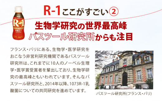茨城県守谷市のふるさと納税 R-1ドリンク砂糖不使用　24本