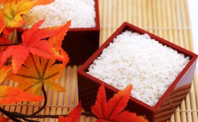 埼玉県飯能市のふるさと納税 埼玉県産 金芽米(彩のきずな)【BG無洗米】10kg[52210913]