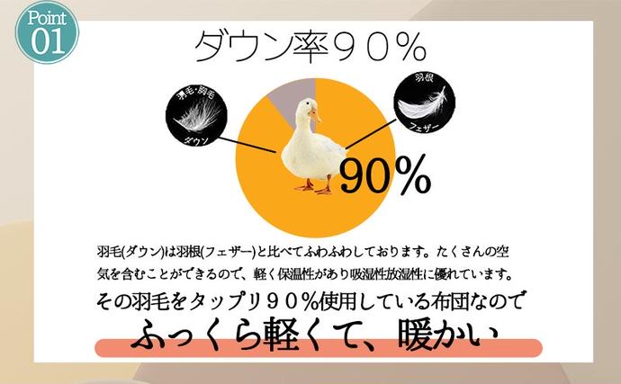 奈良県王寺町のふるさと納税 【５色展開】洗える羽毛合い掛け布団シングルダウン90％350dp北欧デザイン羽毛1.2kg洗濯可羽毛布団 寝具