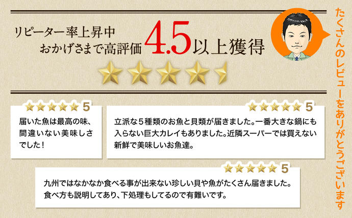 北海道鹿部町のふるさと納税 【2025年12月下旬発送】訳あり 北海道のおさかな屋さんの まかないセット 冷凍魚貝 最大4kg 魚 魚介 訳あり