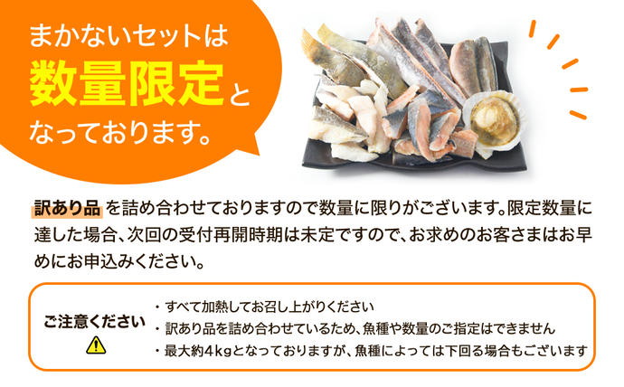 北海道鹿部町のふるさと納税 【2025年12月下旬発送】訳あり 北海道のおさかな屋さんの まかないセット 冷凍魚貝 最大4kg 魚 魚介 訳あり