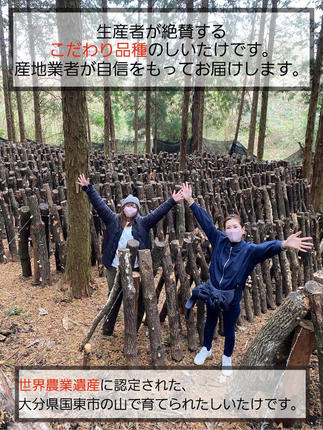 大分県国東市のふるさと納税 国東産の肉厚干し椎茸（どんこ）40g×6袋（チャック付き）_29058A