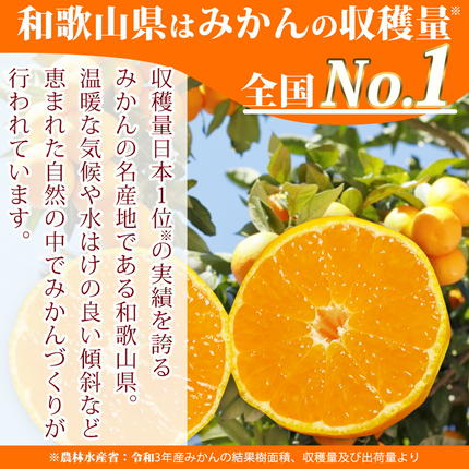 和歌山県湯浅町のふるさと納税 【2026年先行予約】（訳あり 家庭用）濃厚な味わいのこだわり 有田みかん 2kg (早生みかん・大小混合)_EA6032n