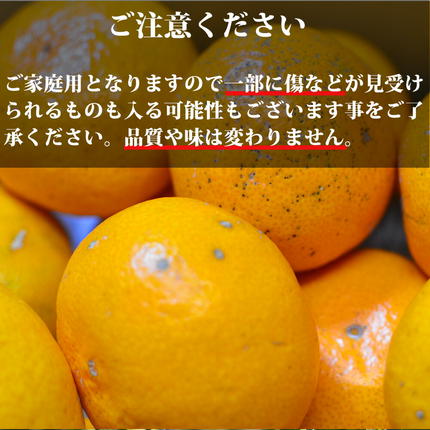 和歌山県湯浅町のふるさと納税 【2026年先行予約】（訳あり 家庭用）濃厚な味わいのこだわり 有田みかん 2kg (早生みかん・大小混合)_EA6032n
