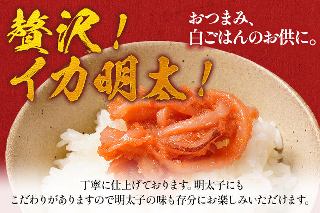 福岡県大木町のふるさと納税 イカ明太子 １kg 辛子明太子 おすすめ 福岡県 大木町 CF03