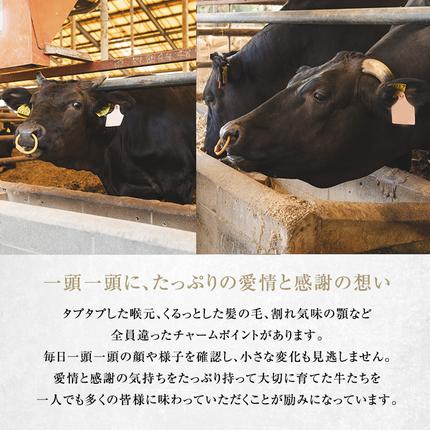 滋賀県豊郷町のふるさと納税 近江牛 焼肉 中上赤身焼肉用 約600g A5 雌牛 西川畜産 牛肉 黒毛和牛 焼き肉 焼肉用 バーベキュー 赤身 肉 お肉 牛 和牛 ブランド牛