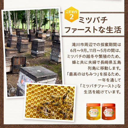 北海道滝川市のふるさと納税 高見養蜂場 の 天然はちみつ セット (アカシヤ＆菩提樹、シナの木600g×各1本 計2本)｜北海道 滝川市 産 はちみつ ハチミツ 天然 菩提樹 シナの木 アカシア アカシヤ 蜂蜜 天然蜂蜜