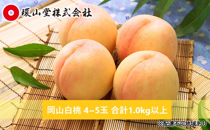 桃 2026年 先行予約 岡山 白桃 4〜5玉 合計1.0kg以上 もも モモ 岡山県産 国産 フルーツ 果物 ギフト 環山堂