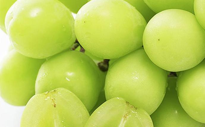 岡山県赤磐市のふるさと納税 ぶどう 早期受付 シャインマスカット 1房 650g以上 ブドウ 葡萄 岡山県産 国産 フルーツ 果物 ギフト 桃茂実苑 果物類