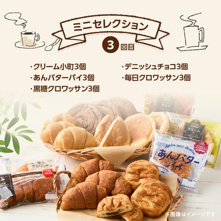 愛知県小牧市のふるさと納税 【2ヶ月に1回 計3回】【賞味期限60日間】コモパン　人気の3セット定期便（計59個）／災害用備蓄 保存食 非常食 防災グッズにも[014K10-T]
