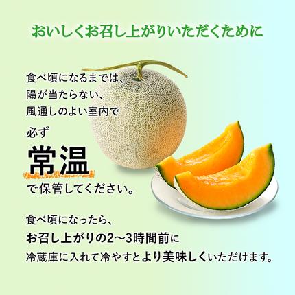 令和8年産】 【糖度限界突破】ふらの 赤肉メロン Lサイズ（約1.7kg/玉