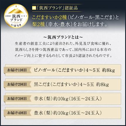 茨城県筑西市のふるさと納税 【 筑西ブランド 認証品 】 旬のフルーツ 定期便 ( 満足コース )  2026年産 先行予約 JA 幸水 豊水 こだまスイカ 黒こだま ピノ・ガール 果物 フルーツ なし 和梨 小玉すいか 小玉 すいか スイカ [AE012ci]