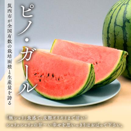 茨城県筑西市のふるさと納税 【 筑西ブランド 認証品 】 旬のフルーツ 定期便 ( 満足コース )  2026年産 先行予約 JA 幸水 豊水 こだまスイカ 黒こだま ピノ・ガール 果物 フルーツ なし 和梨 小玉すいか 小玉 すいか スイカ [AE012ci]