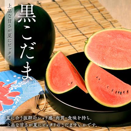 茨城県筑西市のふるさと納税 【 筑西ブランド 認証品 】 旬のフルーツ 定期便 ( 満足コース )  2026年産 先行予約 JA 幸水 豊水 こだまスイカ 黒こだま ピノ・ガール 果物 フルーツ なし 和梨 小玉すいか 小玉 すいか スイカ [AE012ci]