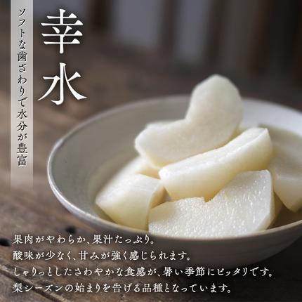 茨城県筑西市のふるさと納税 【 筑西ブランド 認証品 】 旬のフルーツ 定期便 ( 満足コース )  2026年産 先行予約 JA 幸水 豊水 こだまスイカ 黒こだま ピノ・ガール 果物 フルーツ なし 和梨 小玉すいか 小玉 すいか スイカ [AE012ci]