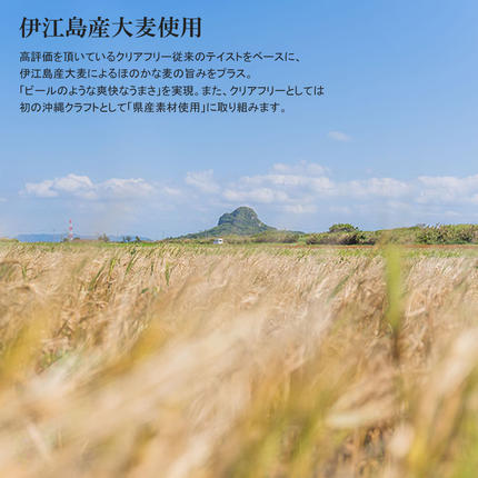 沖縄県南風原町のふるさと納税 オリオンビール　オリオンクリアフリー（350ml×24缶）ノンアルコールビール