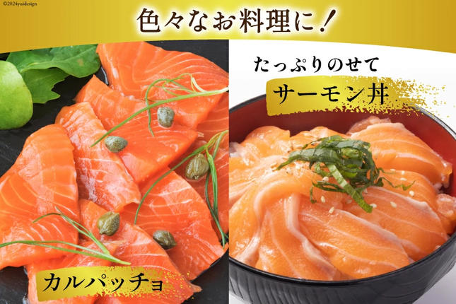 宮城県気仙沼市のふるさと納税 訳あり 無添加 サーモン 切り落とし おさしみ用 1kg 125gx8p [足利本店 宮城県 気仙沼市 20564313] 魚 魚介類 鮭 お刺し身 刺し身 刺身 生 生食 個包装 チリ銀鮭 銀鮭 海鮮 海鮮丼 魚介