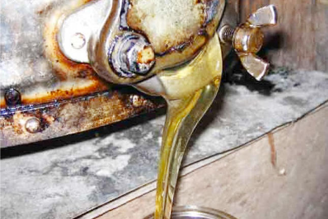 長崎県島原市のふるさと納税 CH075 国産はちみつ 250g×3本セット（百花蜜2本・はぜ蜜1本）[ 国産 甘い はちみつ 蜂蜜 村木養蜂場 長崎県 島原市 ]