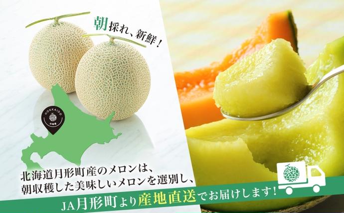北海道月形町のふるさと納税 【2026年夏発送】北海道 青肉メロン 月雫 秀品 1玉 約1.6kg 令和8年 メロン 果物 フルーツ 旬 季節 希少 甘い 豊潤 国産 北海道産 デザート ご褒美 産地直送 産直 ギフト お祝い 贈答品 贈り物 お中元 常温 お取り寄せ 送料無料