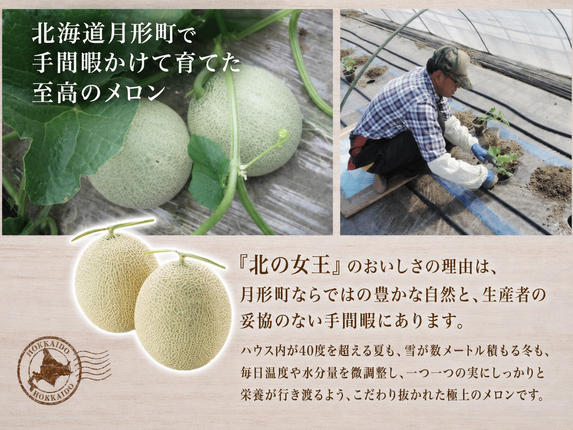 産地直送 鮮度抜群 メロン 贈答用にも 先行受付〉【2027年夏発送】北海道 赤肉メロン 北の女王 秀品 約1.6kg