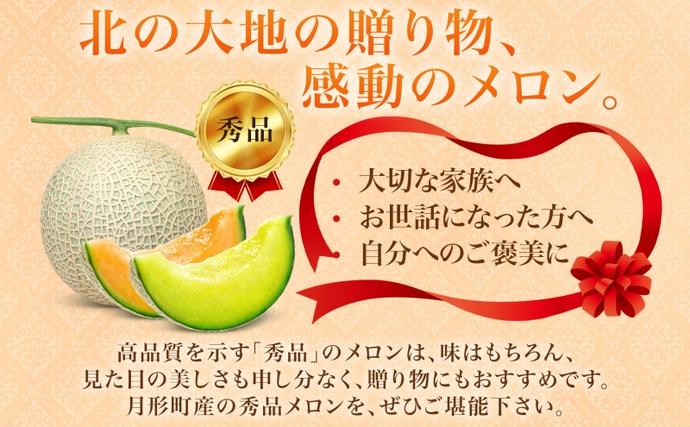 北海道月形町のふるさと納税 【2026年夏発送】北海道 赤肉メロン 北の女王 青肉メロン 月雫 秀品 約1.6kg 各1玉 令和8年 メロン 果物 フルーツ 旬 希少 甘い 豊潤 国産 産地直送 ギフト お祝い 贈答品 贈り物 お中元 お取り寄せ 送料無料