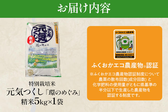 福岡県大木町のふるさと納税 令和7年度米 特別栽培米「環のめぐみ」　精米5kg　AI001-1
