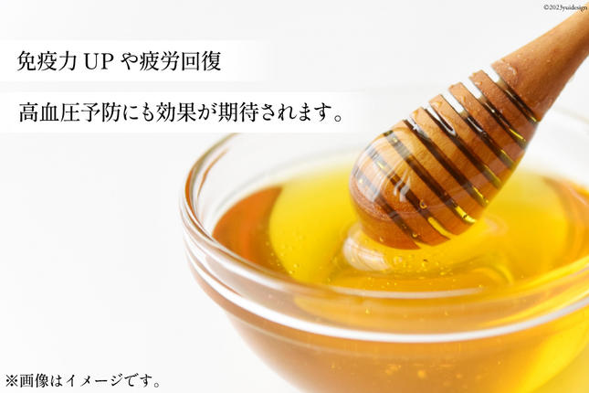 長崎県島原市のふるさと納税 BH071 国産はちみつ 500g（百花蜜） [ 国産 甘い はちみつ 蜂蜜 村木養蜂場 長崎県 島原市 ]