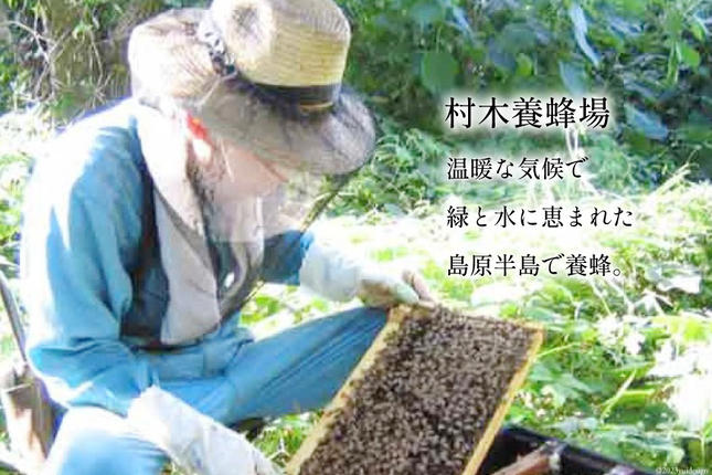 長崎県島原市のふるさと納税 BH071 国産はちみつ 500g（百花蜜） [ 国産 甘い はちみつ 蜂蜜 村木養蜂場 長崎県 島原市 ]