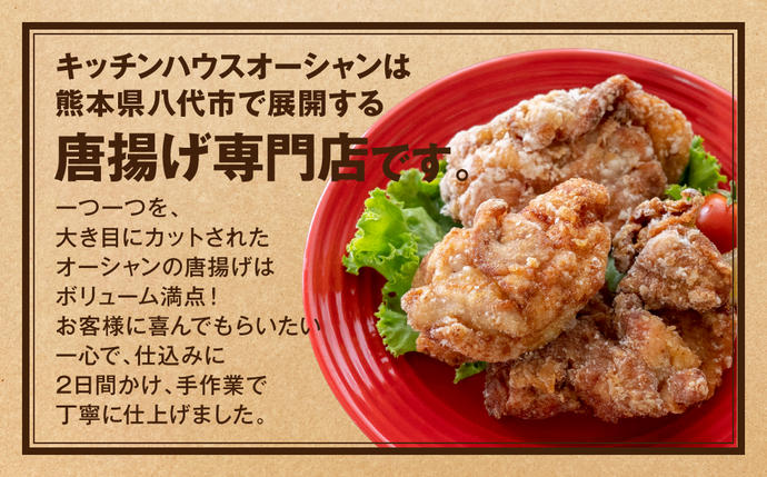 熊本県八代市のふるさと納税 味付け こだわり 塩唐揚げ  計1.2kg ジューシー お肉 唐揚げ