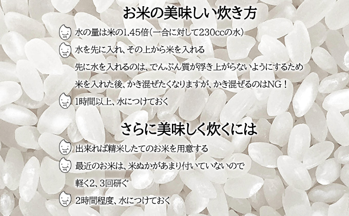 北海道月形町のふるさと納税 【令和8年産先行予約】北海道 定期便 隔月6回 令和8年産 ななつぼし 5kg×2袋 特A 精米 米 白米 ご飯 お米 ごはん 国産 北海道産 ブランド米 おにぎり ふっくら 常温 お取り寄せ 産地直送 R8年産 送料無料