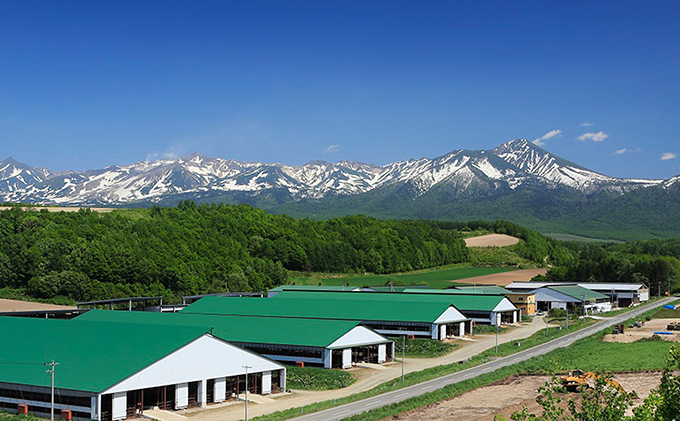 北海道上富良野町のふるさと納税 かみふらの和牛A5等級　半頭まるごとお届け便≪19個口≫
