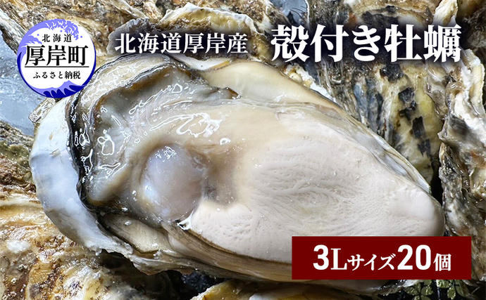 北海道厚岸町のふるさと納税 北海道 厚岸産 殻付き 牡蠣 3Lサイズ 20個 魚貝類 生牡蠣 海鮮 海の幸 生食用牡蠣 生食用 生食用殻付き牡蠣 濃厚 甘み マルえもん オイスター
