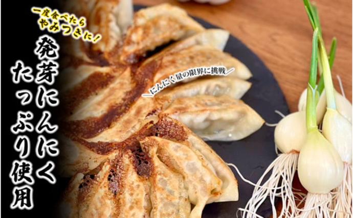 岐阜県海津市のふるさと納税 発芽にんにく餃子30個入り 餃子 にんにく にんにくたっぷり 国産にんにく 発芽にんにく 冷凍 臭わない 栄養価抜群 スタミナ 免疫アップ おつまみ おかず 総菜 餃子専門店 ぎょうざ 工場直売