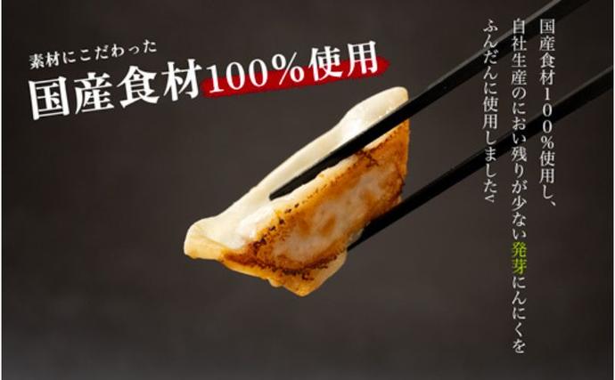 岐阜県海津市のふるさと納税 発芽にんにく餃子30個入り 餃子 にんにく にんにくたっぷり 国産にんにく 発芽にんにく 冷凍 臭わない 栄養価抜群 スタミナ 免疫アップ おつまみ おかず 総菜 餃子専門店 ぎょうざ 工場直売