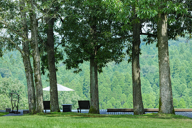 鹿児島県霧島市のふるさと納税 K-100 《セゾン限定》天空の森「春夏秋冬4回宿泊プラン」ペア宿泊券【天空の森】宿泊 旅行 チケット 宿泊券 温泉 旅行券 温泉 高級宿