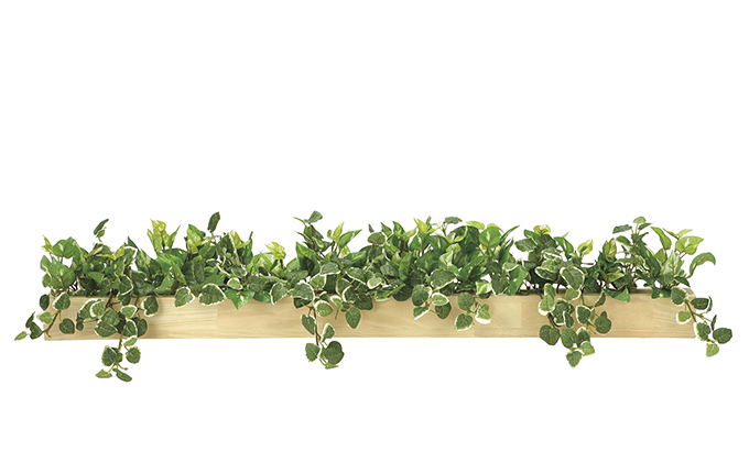 静岡県浜松市のふるさと納税 光の楽園　ウッドボックスSL【配送不可：北海道・沖縄・離島】 インテリア、人工植物、造花