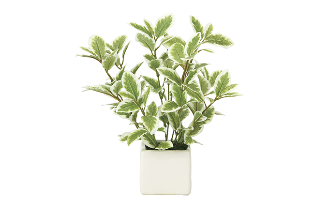 静岡県浜松市のふるさと納税 光の楽園　ミニリーフG/W【配送不可：北海道・沖縄・離島】 雑貨 日用品 植物 造花