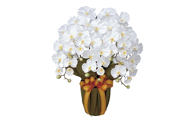 静岡県浜松市のふるさと納税 光の楽園　エレガント胡蝶蘭W【配送不可：北海道・沖縄・離島】 雑貨 日用品 植物 造花