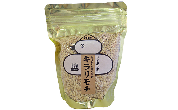 岡山県高梁市のふるさと納税 宇治町産 もち麦商品詰め合わせB お酒 ビール お米 飲料類 お茶
