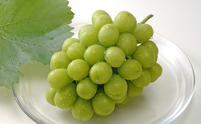 岡山県高梁市のふるさと納税 数量限定 氷温 シャイン マスカット 1房（約800g）【配達不可：北海道・沖縄・離島】 JA ぶどう 果物類 フルーツ 果物 葡萄