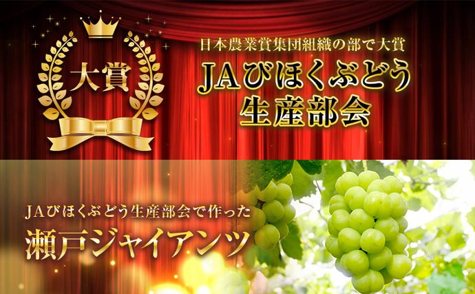 岡山県高梁市のふるさと納税 瀬戸ジャイアンツ 約2kg 3～5房 ぶどう 葡萄 フルーツ 岡山 高梁市産 2026年 先行予約 果物類 果物