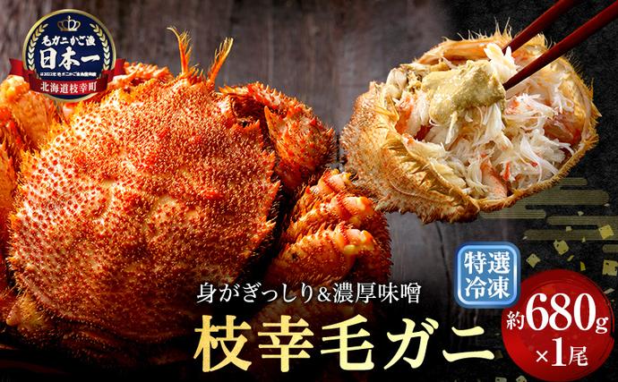 漁獲量日本一】至福の逸品！特選冷凍「枝幸毛がに」約680g×1尾【 毛蟹