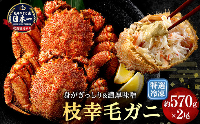 北海道枝幸町のふるさと納税 【漁獲量日本一】至福の逸品！特選冷凍「枝幸毛がに」約570g×2尾【 毛蟹 毛ガニ オホーツク 北海道 加工食品 地域のお礼の品 カタログ 毛ガニ 北海道 オホーツク 枝幸 】