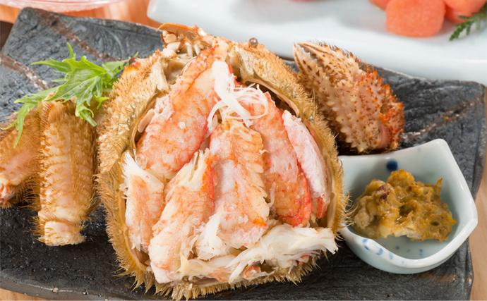 北海道枝幸町のふるさと納税 【漁獲量日本一】至福の逸品！特選冷凍「枝幸毛がに」約570g×2尾【 毛蟹 毛ガニ オホーツク 北海道 加工食品 地域のお礼の品 カタログ 毛ガニ 北海道 オホーツク 枝幸 】