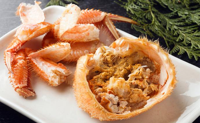 北海道枝幸町のふるさと納税 【漁獲量日本一】至福の逸品！特選冷凍「枝幸毛がに」約570g×2尾【 毛蟹 毛ガニ オホーツク 北海道 加工食品 地域のお礼の品 カタログ 毛ガニ 北海道 オホーツク 枝幸 】